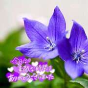 ヒメ日記 2025/11/04 16:27 投稿 芦名 錦糸町おかあさん