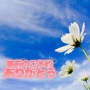 ヒメ日記 2025/11/07 18:31 投稿 芦名 錦糸町おかあさん