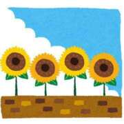 ヒメ日記 2025/08/15 17:45 投稿 みお MORE