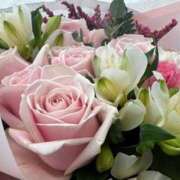 ヒメ日記 2025/02/15 13:16 投稿 イオリ ラブコレクション