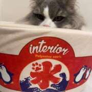 ヒメ日記 2025/03/14 00:01 投稿 イオリ ラブコレクション