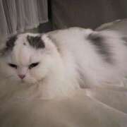 ヒメ日記 2025/03/19 04:31 投稿 イオリ ラブコレクション