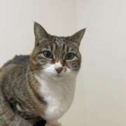 ヒメ日記 2025/04/28 18:16 投稿 イオリ ラブコレクション