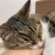 ヒメ日記 2025/05/06 03:46 投稿 イオリ ラブコレクション