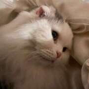 ヒメ日記 2025/05/12 04:01 投稿 イオリ ラブコレクション