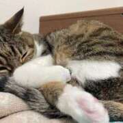 ヒメ日記 2025/05/13 04:16 投稿 イオリ ラブコレクション