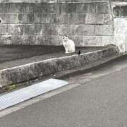 ヒメ日記 2025/05/17 08:16 投稿 イオリ ラブコレクション