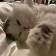 ヒメ日記 2025/05/18 23:01 投稿 イオリ ラブコレクション