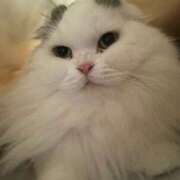 ヒメ日記 2025/05/28 04:31 投稿 イオリ ラブコレクション