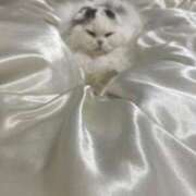 ヒメ日記 2025/05/30 18:31 投稿 イオリ ラブコレクション