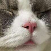 ヒメ日記 2025/07/23 00:16 投稿 イオリ ラブコレクション