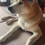 ヒメ日記 2025/08/05 08:46 投稿 イオリ ラブコレクション