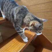 ヒメ日記 2025/08/10 01:31 投稿 イオリ ラブコレクション