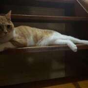 ヒメ日記 2025/08/10 15:16 投稿 イオリ ラブコレクション