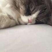 ヒメ日記 2025/10/02 04:31 投稿 イオリ ラブコレクション