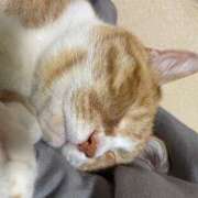 ヒメ日記 2025/10/09 08:01 投稿 イオリ ラブコレクション