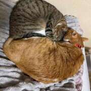 ヒメ日記 2025/11/20 18:01 投稿 イオリ ラブコレクション