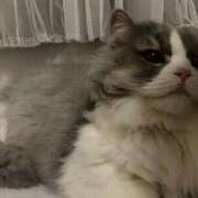 ヒメ日記 2025/11/28 21:46 投稿 イオリ ラブコレクション