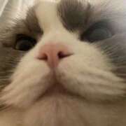 ヒメ日記 2026/03/20 09:01 投稿 イオリ ラブコレクション