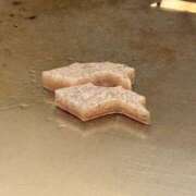 ヒメ日記 2026/03/30 12:01 投稿 イオリ ラブコレクション