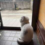 ヒメ日記 2026/06/05 09:01 投稿 イオリ ラブコレクション