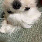 ヒメ日記 2026/01/03 07:27 投稿 木村 変態美熟女お貸しします。