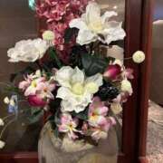 ヒメ日記 2026/01/29 14:57 投稿 木村 変態美熟女お貸しします。