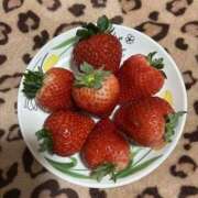 ヒメ日記 2026/02/11 09:17 投稿 木村 変態美熟女お貸しします。