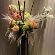 ヒメ日記 2026/02/15 19:18 投稿 木村 変態美熟女お貸しします。