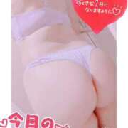 ヒメ日記 2025/02/20 11:02 投稿 えみり 奥様さくら難波店