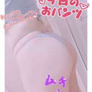 ヒメ日記 2025/03/12 11:11 投稿 えみり 奥様さくら難波店