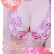 ヒメ日記 2025/03/14 13:02 投稿 えみり 奥様さくら難波店