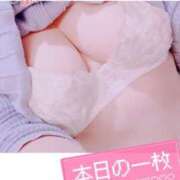 ヒメ日記 2025/04/09 11:11 投稿 えみり 奥様さくら難波店