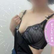 ヒメ日記 2025/11/17 09:04 投稿 しおり 池袋おかあさん