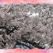 ヒメ日記 2026/03/26 16:44 投稿 しおり 池袋おかあさん