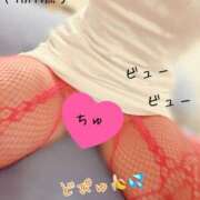 ヒメ日記 2025/02/14 08:58 投稿 りお やMAT撫子