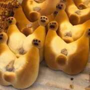 ヒメ日記 2025/05/31 09:11 投稿 りお やMAT撫子