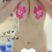 ヒメ日記 2025/06/20 08:52 投稿 りお やMAT撫子