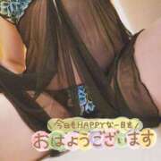 ヒメ日記 2025/02/21 08:45 投稿 芦名 西船橋おかあさん