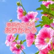 ヒメ日記 2025/07/29 12:20 投稿 芦名 西船橋おかあさん