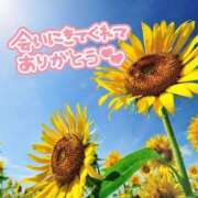 ヒメ日記 2025/08/08 17:00 投稿 芦名 西船橋おかあさん