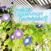 ヒメ日記 2025/08/26 16:50 投稿 芦名 西船橋おかあさん