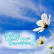 ヒメ日記 2025/08/31 17:30 投稿 芦名 西船橋おかあさん