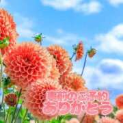 ヒメ日記 2025/09/06 12:50 投稿 芦名 西船橋おかあさん