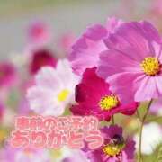 ヒメ日記 2025/09/12 17:50 投稿 芦名 西船橋おかあさん