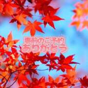 ヒメ日記 2025/09/15 18:30 投稿 芦名 西船橋おかあさん