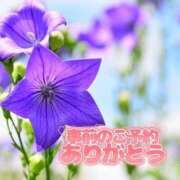 ヒメ日記 2025/09/25 09:00 投稿 芦名 西船橋おかあさん