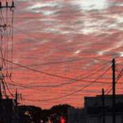 ヒメ日記 2025/09/23 10:10 投稿 りこ 素人巨乳ちゃんこ「東千葉店」