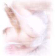 ヒメ日記 2025/12/21 14:41 投稿 めぐり モアグループ小山人妻花壇