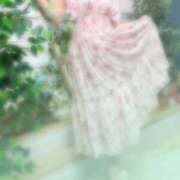 ヒメ日記 2026/04/14 10:30 投稿 めぐり モアグループ小山人妻花壇